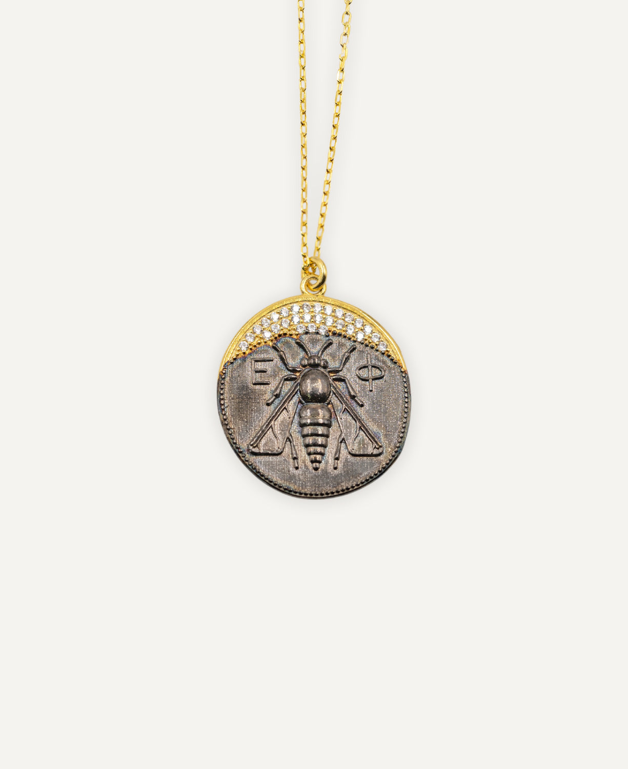 Chain Coin Insect