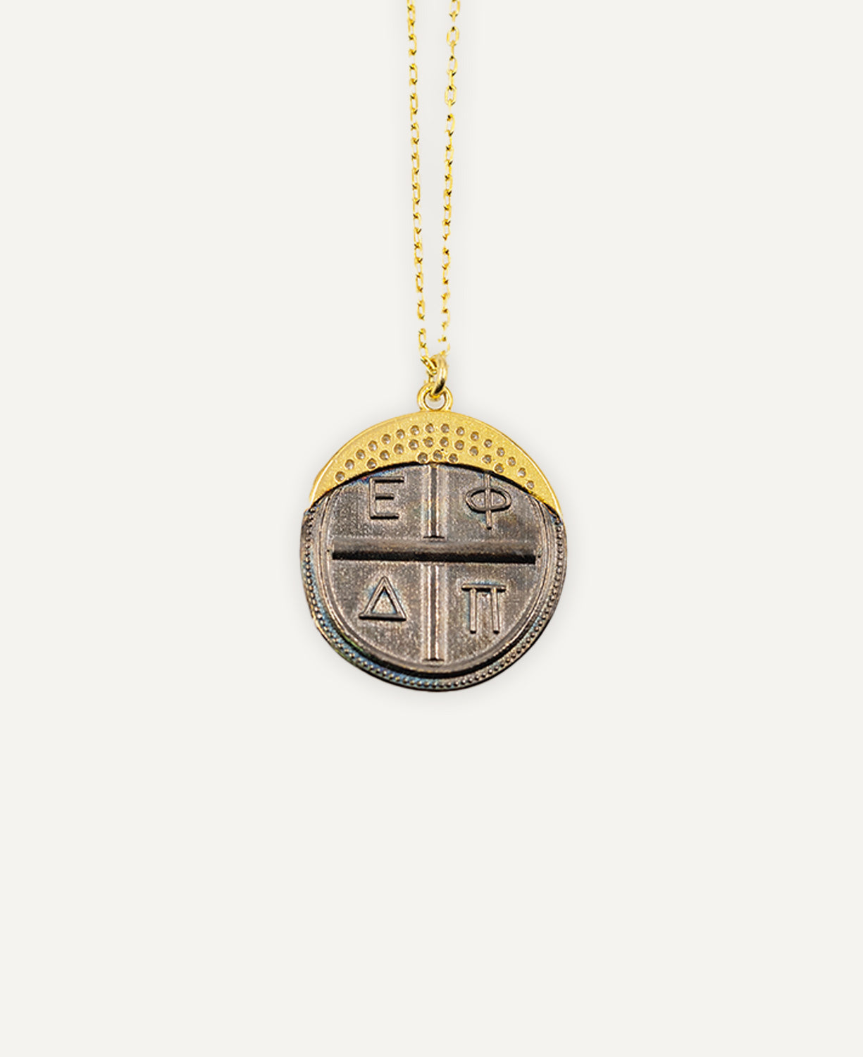 Chain Coin Insect